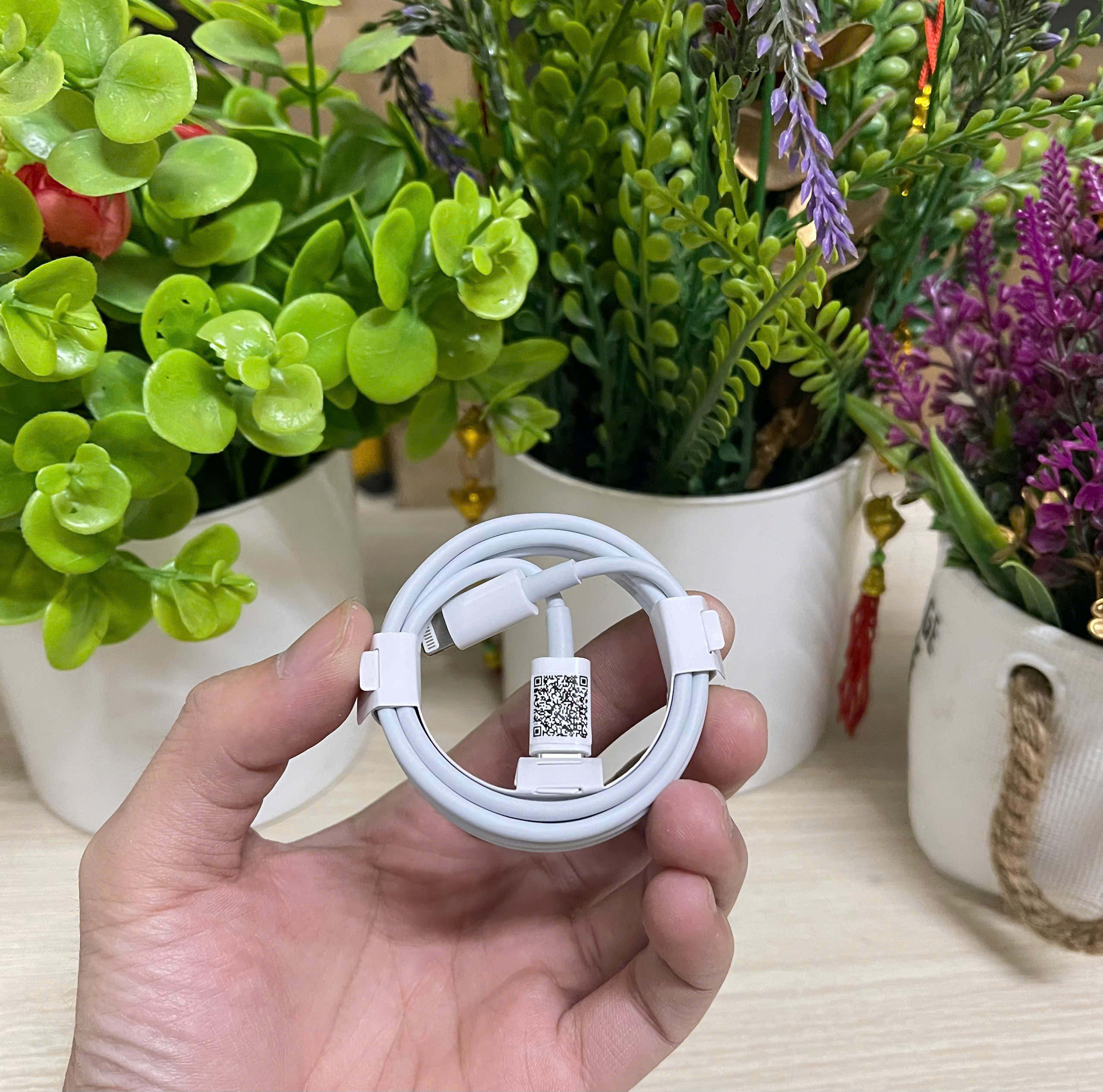 cáp sạc C01 20W