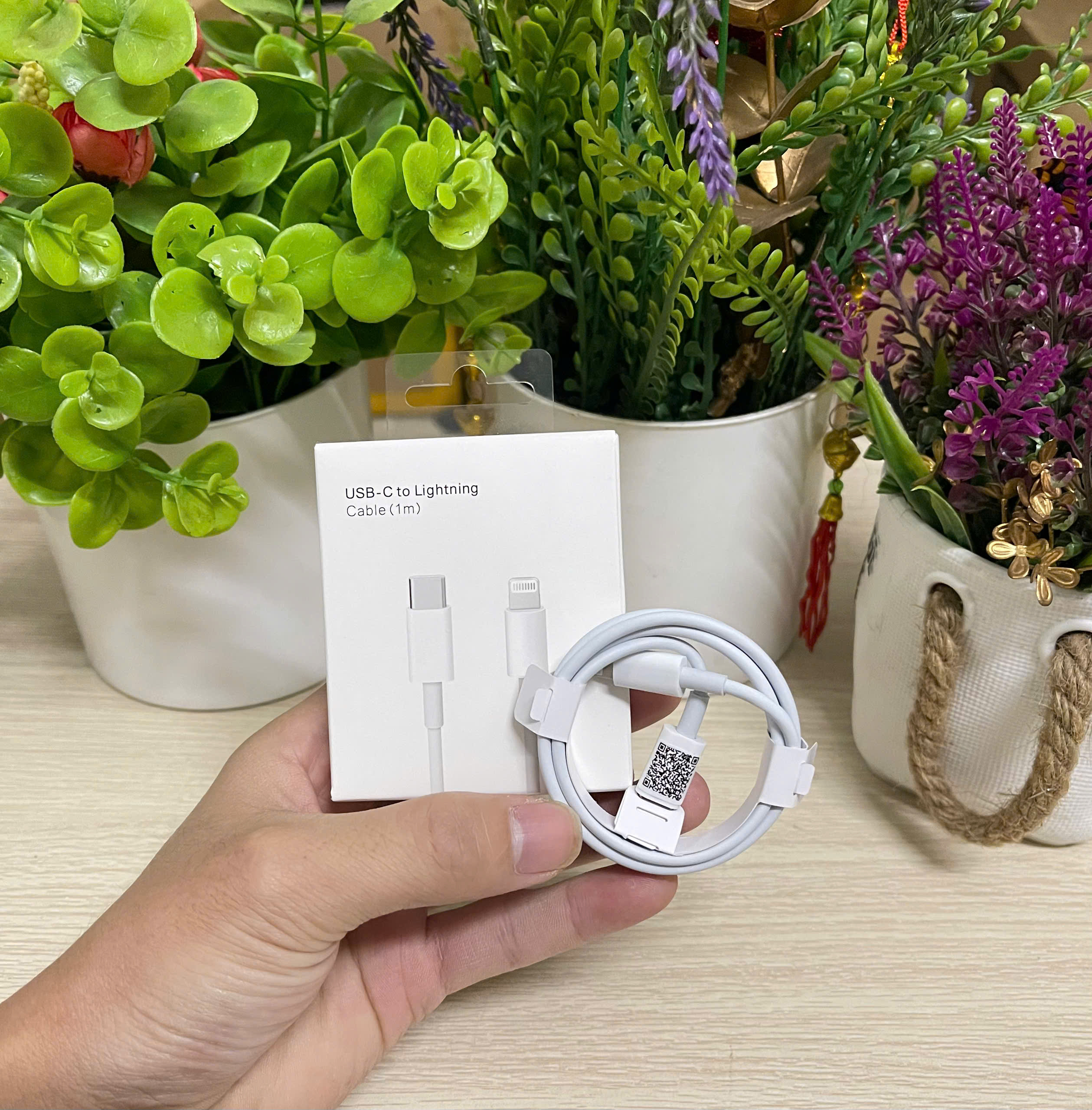 cáp sạc C01 20W